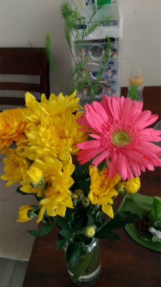 “Sốt rét” vì team mẹ chồng vô duyên: bà mua cúc vàng tặng sinh nhật cháu, bà xông vào ngủ cùng phòng con - Ảnh 2.