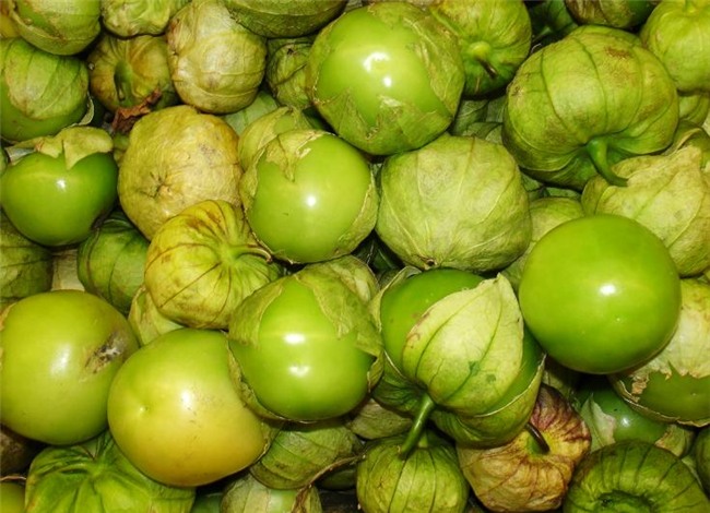 quả dại, hoa quả nhập khẩu