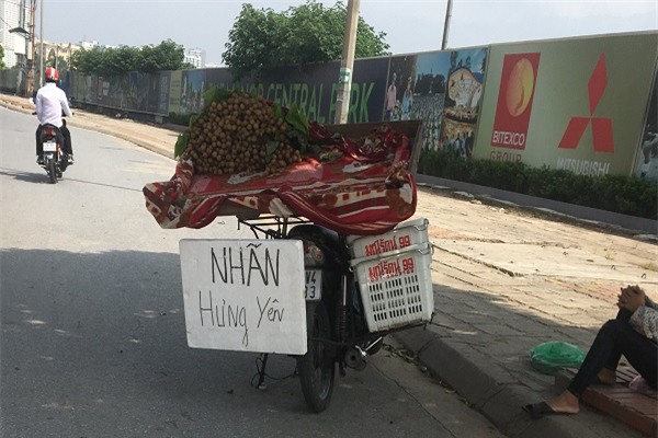 thuc hu “nhan long hung yen xin” gia sieu re ngap duong pho ha noi? hinh anh 2