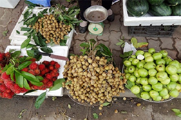 thuc hu “nhan long hung yen xin” gia sieu re ngap duong pho ha noi? hinh anh 3