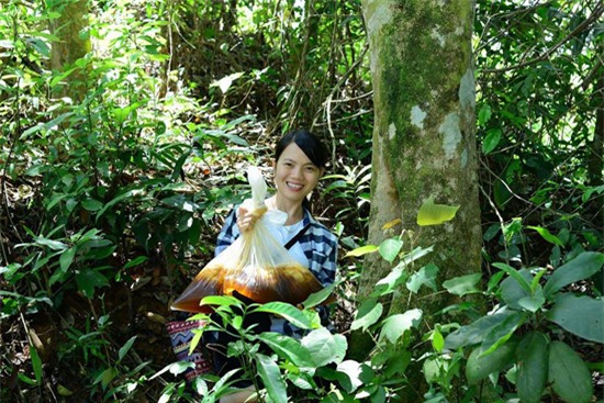 nu nha bao bo viec, ve que bang rung, loi suoi