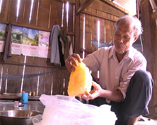 nu nha bao bo viec, ve que bang rung, loi suoi 