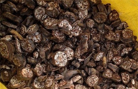 nu nha bao bo viec, ve que bang rung, loi suoi 