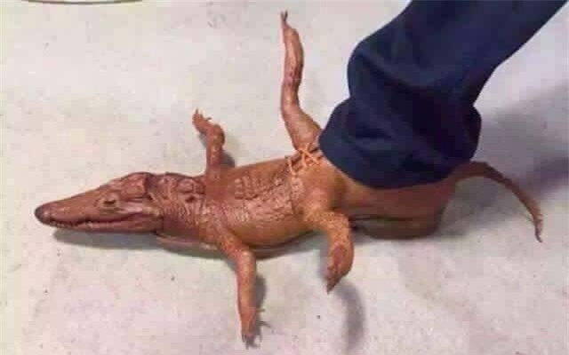 Cá sấu nguyên con