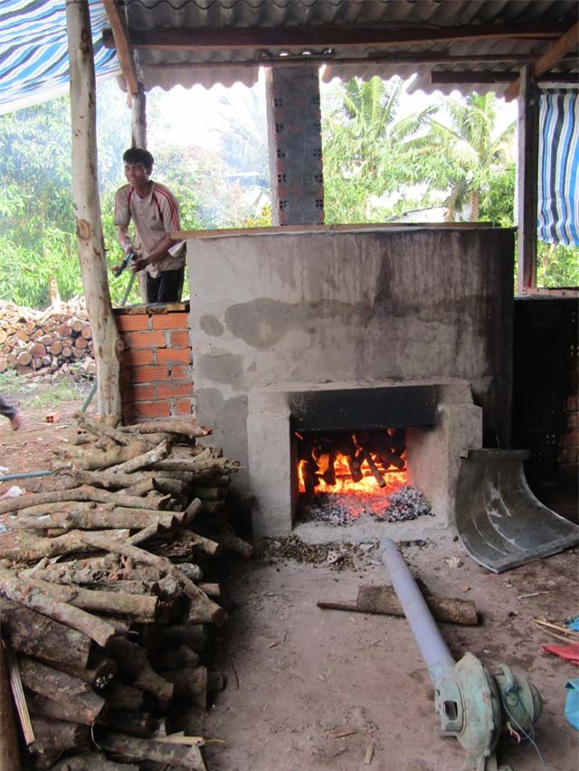 thuong lái trung quóc mua cau non giá cao bát thuòng hinh anh 3