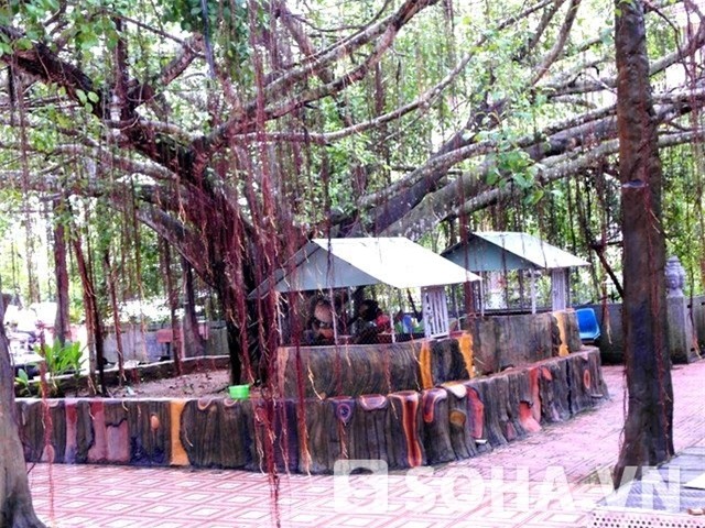 trầm bê, Sacombank, SouthernBank, ngân hàng phương nam, lâu đài, dinh thự