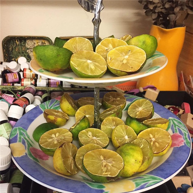 me ha thanh mach chi em cach duoi muoi tu nhien phong sot xuat huyet cuc ki hieu qua - 2