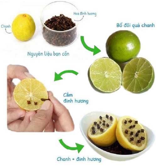 me ha thanh mach chi em cach duoi muoi tu nhien phong sot xuat huyet cuc ki hieu qua - 3