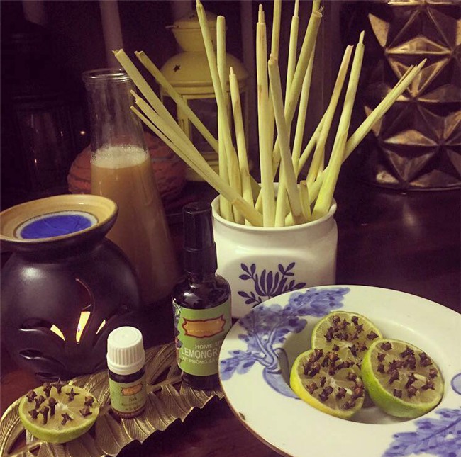 me ha thanh mach chi em cach duoi muoi tu nhien phong sot xuat huyet cuc ki hieu qua - 4