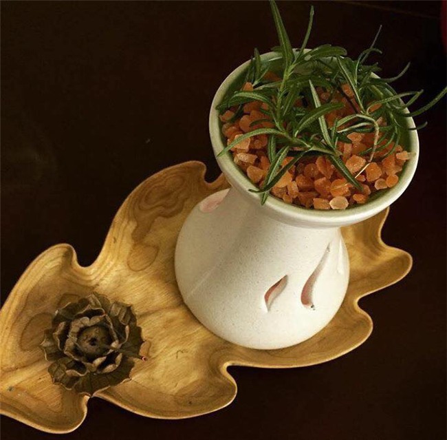 me ha thanh mach chi em cach duoi muoi tu nhien phong sot xuat huyet cuc ki hieu qua - 5