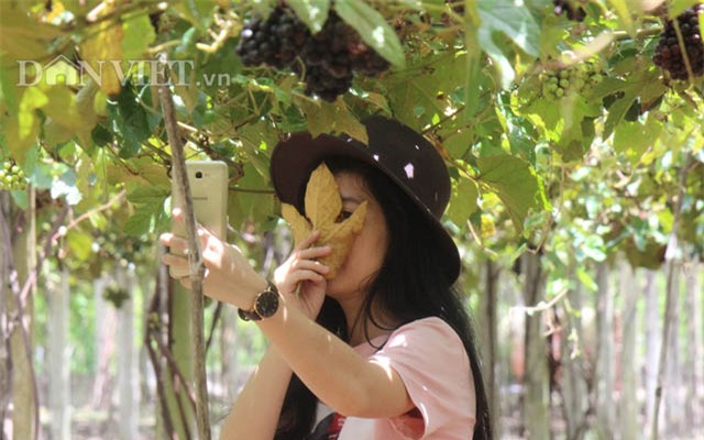 khach nuom nuop den vuon nho rung cua lao nong