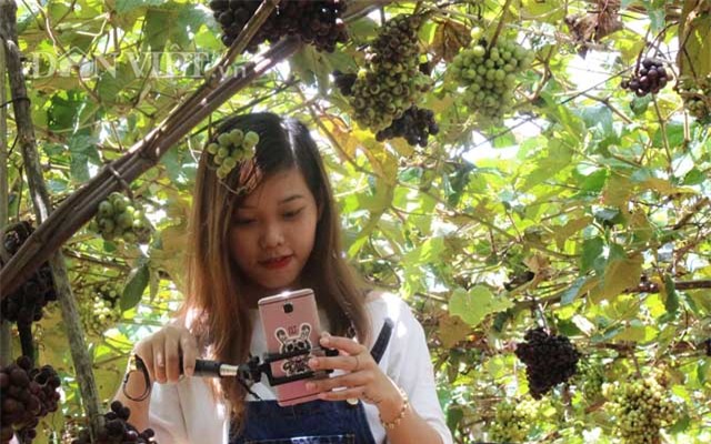 khach nuom nuop den vuon nho rung cua lao nong