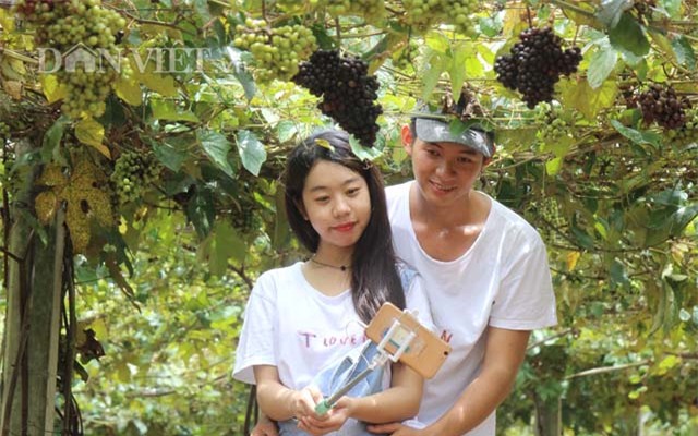 khach nuom nuop den vuon nho rung cua lao nong