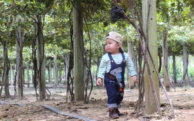 khach nuom nuop den vuon nho rung cua lao nong 