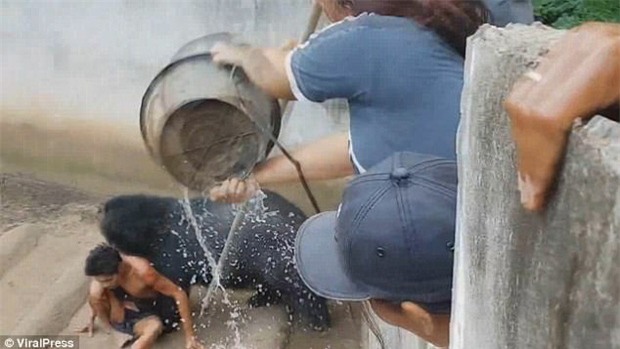 Thái Lan: Du khách sống sót đầy kỳ tích sau khi bị một con gấu lôi vào trong chuồng - Ảnh 1.