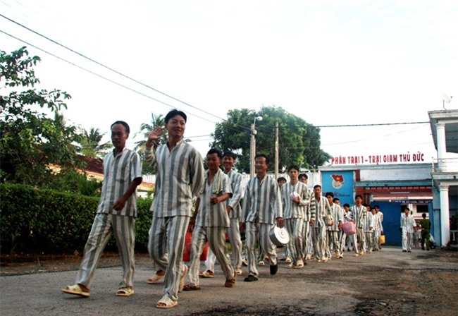 Vi sao nguoi vo bi giet o 'phong hanh phuc' mang duoc dao vao Z30D? hinh anh 1