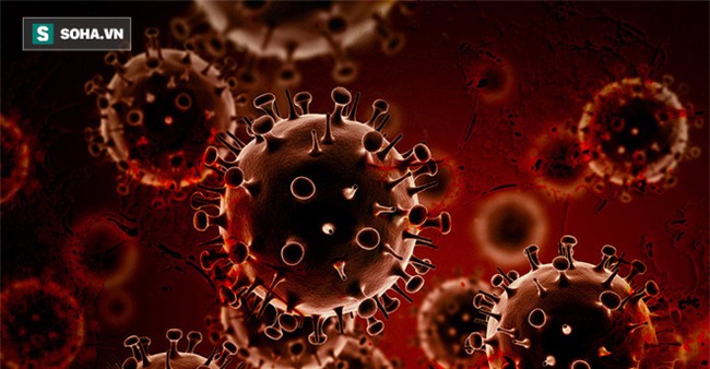 Nghệ vàng ai cũng biết, nghệ đen chứa 5 công dụng tuyệt vời bạn biết chưa? - Ảnh 1.