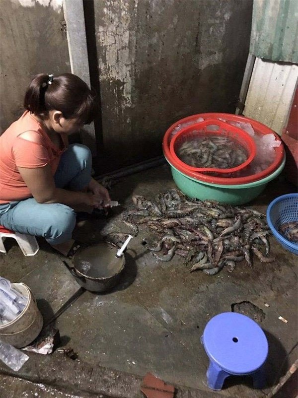 mít, tầm bóp, quả dại, dưa hấu, ổi tím, rau dại, cá lăng, thực phẩm bẩn, bơm tạp chất