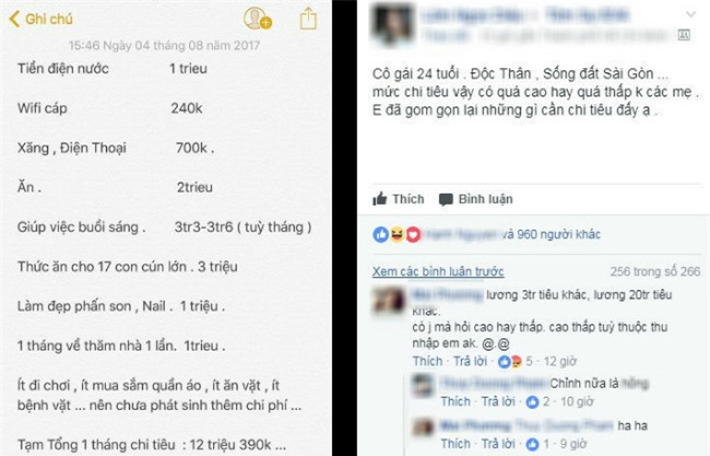 bang chi tieu gay tranh cai cua co gai doc than 24 tuoi: giup viec buoi sang het hon 3 trieu/thang - 1