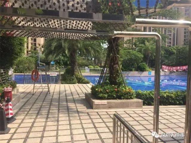 Bé trai 4 tuổi chết đuối ở hồ bơi, ngay bên cạnh mẹ và 3 nhân viên cứu hộ - Ảnh 1.