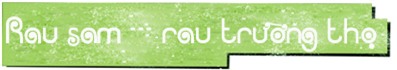 lai bat ngo vi mot loai rau dai o viet nam dang duoc nhieu nuoc "san lung" nhu than duoc - 3