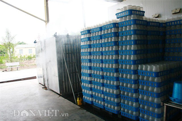 Quy trình sản xuất nấm kim châm sạch gần 70 tỷ đồng hiện đại cỡ nào?-4