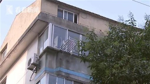 buc thu tuyet menh cua be gai 12 tuoi: "khi chet di, con se khong phai chim trong dong bai vo" - 1