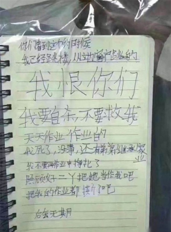 buc thu tuyet menh cua be gai 12 tuoi: "khi chet di, con se khong phai chim trong dong bai vo" - 2