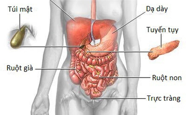 Căn bệnh ung thư chỉ có 4/100 người sống trên 5 năm: Cảnh báo từ cơn đau bụng