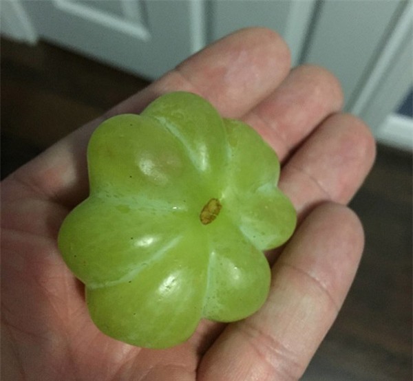 12 loai rau qua dot bien gen, chi nhin thoi cung khien ban "noi da ga" - 1