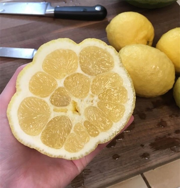 12 loai rau qua dot bien gen, chi nhin thoi cung khien ban "noi da ga" - 13