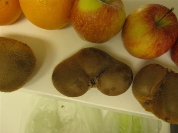 12 loai rau qua dot bien gen, chi nhin thoi cung khien ban "noi da ga" - 3