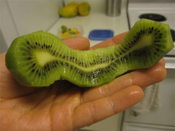 12 loai rau qua dot bien gen, chi nhin thoi cung khien ban "noi da ga" - 4