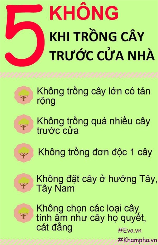 nhung loai cay khong nen trong truoc cua nha de tranh gap hoa - 3