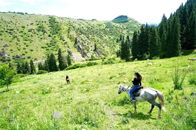 Dân mạng tranh cãi chuyện cô gái 28 bỏ nhà cửa, công việc đi khắp muôn nơi - Ảnh 2.