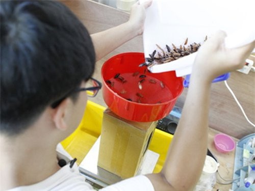 Chang trai kiem gan 7.000 USD/thang nho mo 'trang trai' gian hinh anh 2