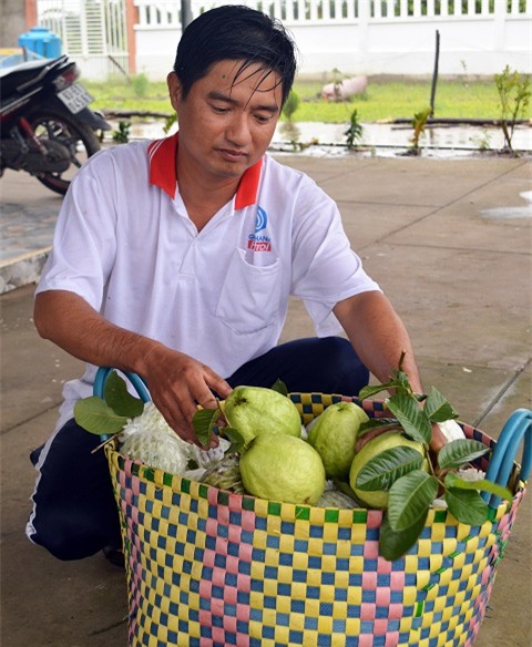 trung “khung” va vuon oi quanh nam cho trai ngot giua vung dat phen hinh anh 6