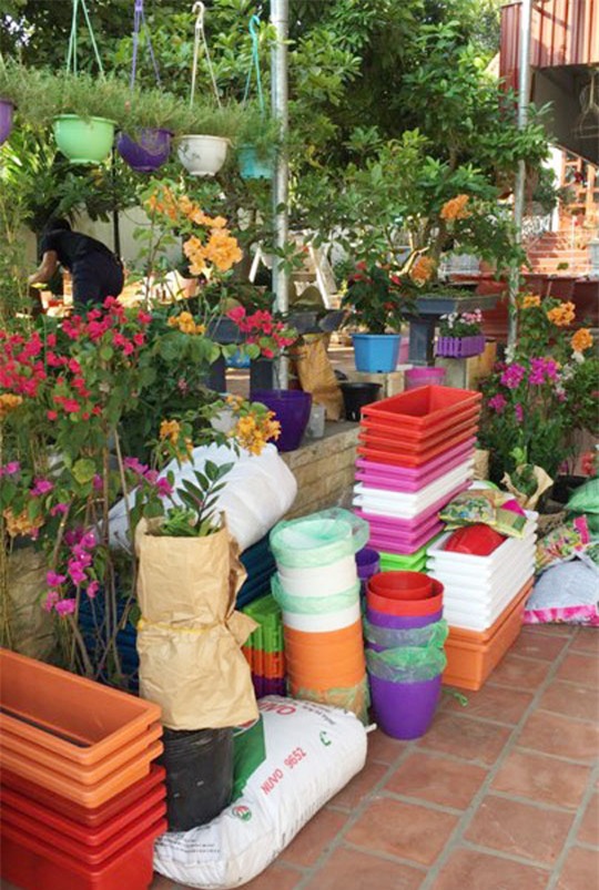 khu vuon 200 gio hoa ruc ro cua me hai duong khien khach den chi muon "o mai khong ve" - 12