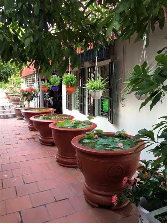 khu vuon 200 gio hoa ruc ro cua me hai duong khien khach den chi muon "o mai khong ve" - 13