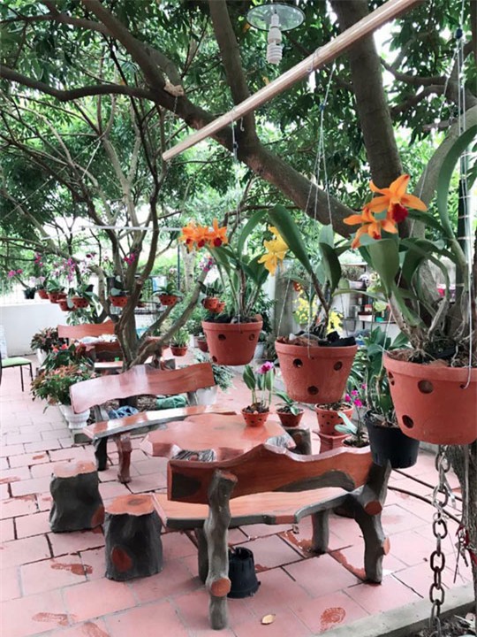 khu vuon 200 gio hoa ruc ro cua me hai duong khien khach den chi muon "o mai khong ve" - 14