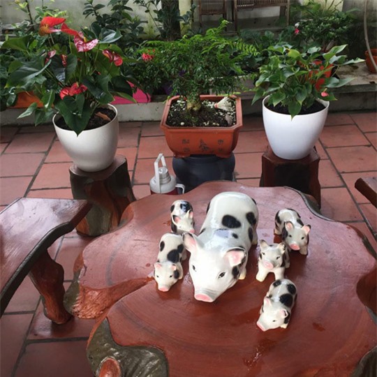 khu vuon 200 gio hoa ruc ro cua me hai duong khien khach den chi muon "o mai khong ve" - 15