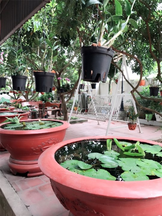 khu vuon 200 gio hoa ruc ro cua me hai duong khien khach den chi muon "o mai khong ve" - 3