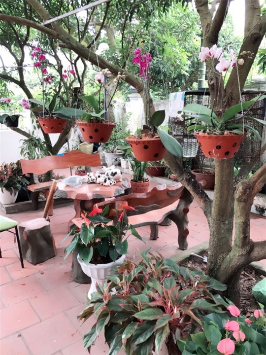 khu vuon 200 gio hoa ruc ro cua me hai duong khien khach den chi muon "o mai khong ve" - 7