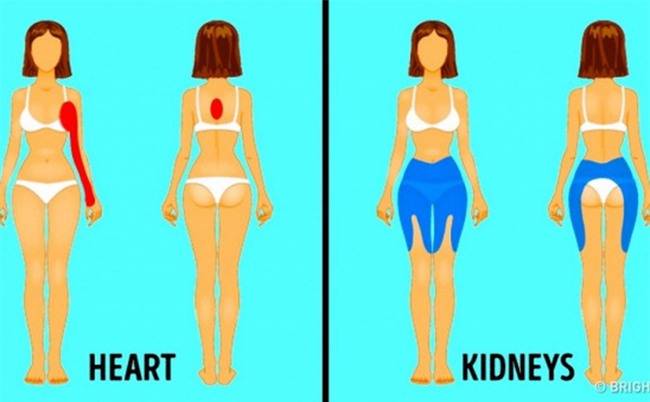 Đau ở đâu trên cơ thể thì nguy hiểm? Hình ảnh này là câu trả lời!