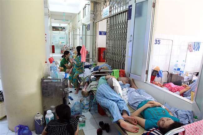 nu dieu duong mang thai sap de van cang minh chong sot xuat huyet - 13