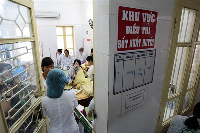 nu dieu duong mang thai sap de van cang minh chong sot xuat huyet - 10