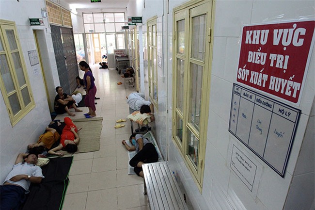 nu dieu duong mang thai sap de van cang minh chong sot xuat huyet - 9