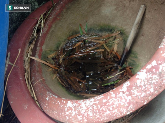 Dù ở biệt thự, ngủ phòng máy lạnh, 3 điều quan trọng chống sốt xuất huyết này không thể bỏ qua - Ảnh 1.