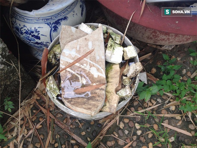 Dù ở biệt thự, ngủ phòng máy lạnh, 3 điều quan trọng chống sốt xuất huyết này không thể bỏ qua - Ảnh 2.