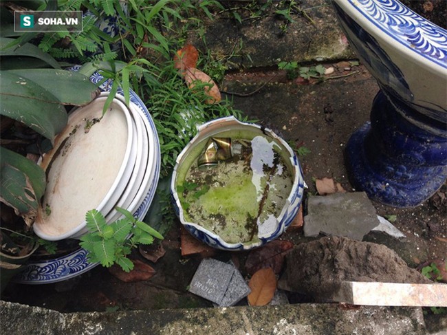 Dù ở biệt thự, ngủ phòng máy lạnh, 3 điều quan trọng chống sốt xuất huyết này không thể bỏ qua - Ảnh 4.